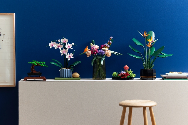 Orchidee e piante grasse si aggiungono alla LEGO® Botanical Collection